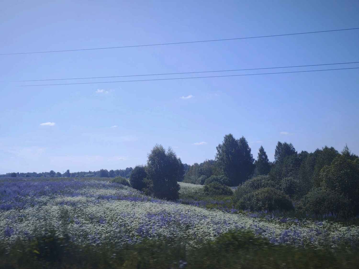 Photo #14240350