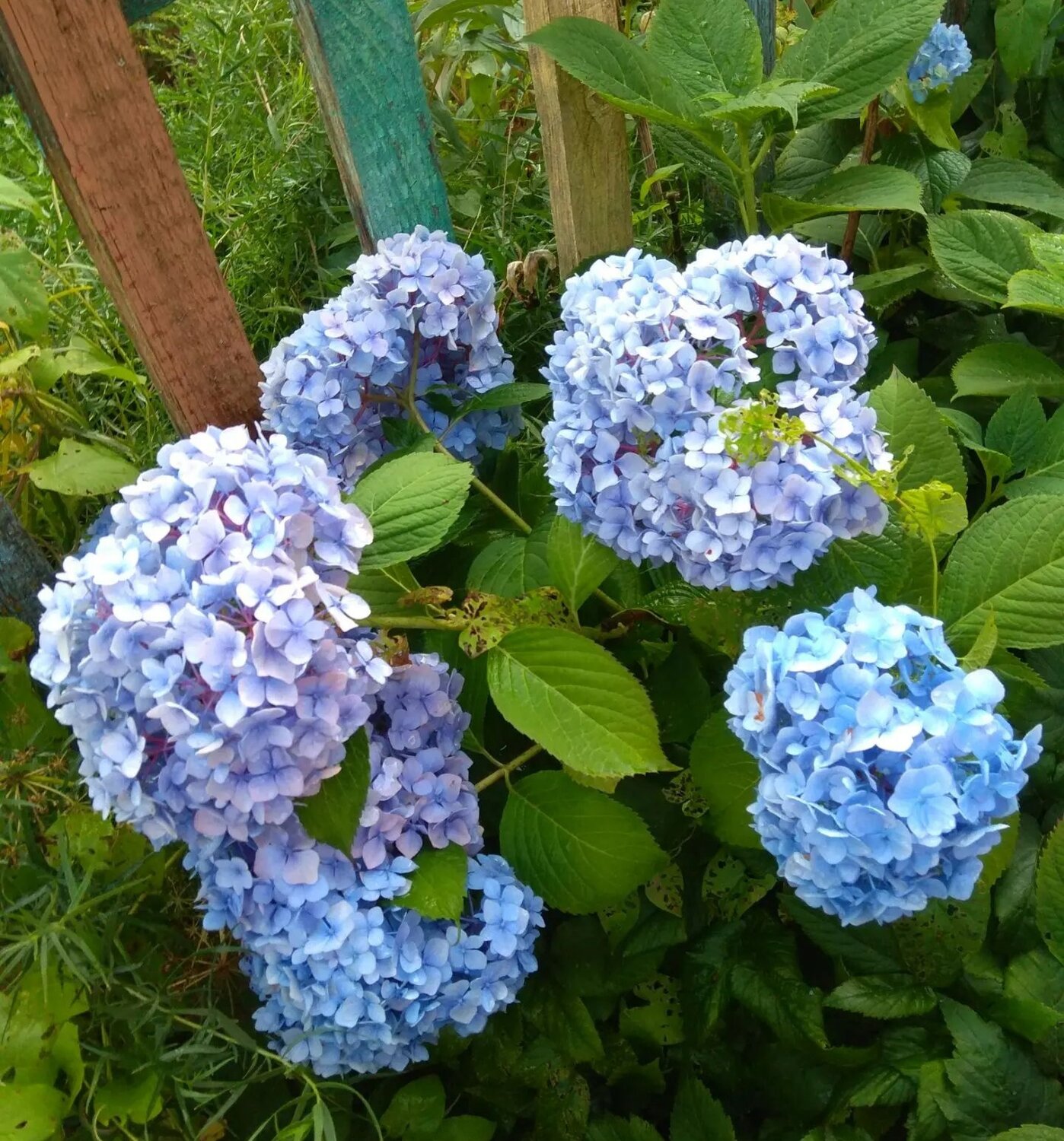 Photo #14240444