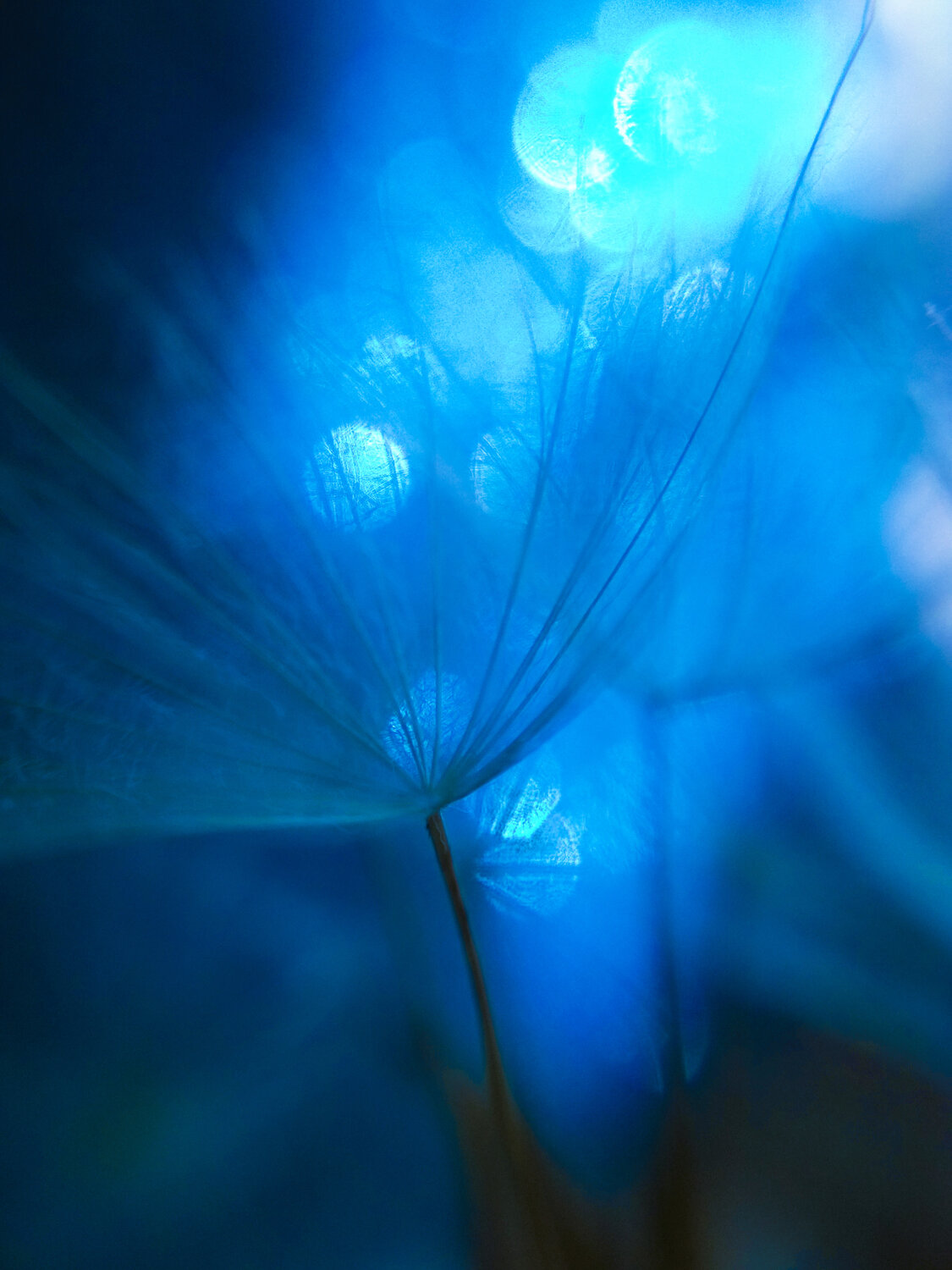 Photo #14240490