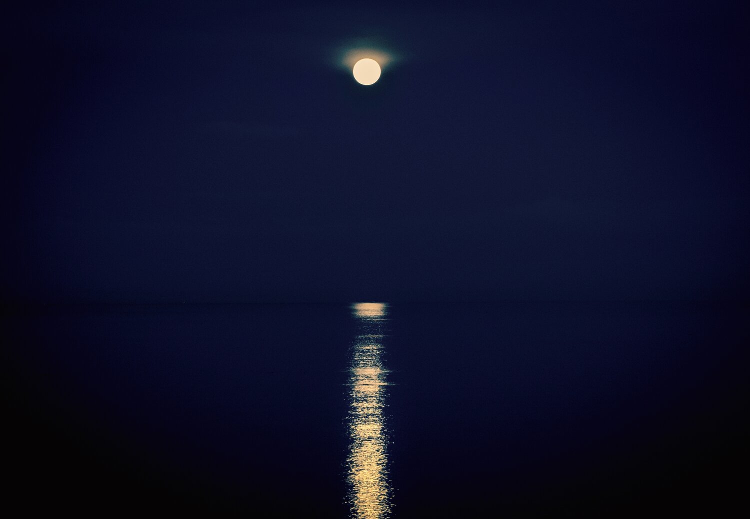 Moonlight Reflections