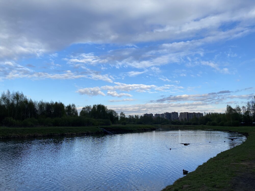 Photo #14241118