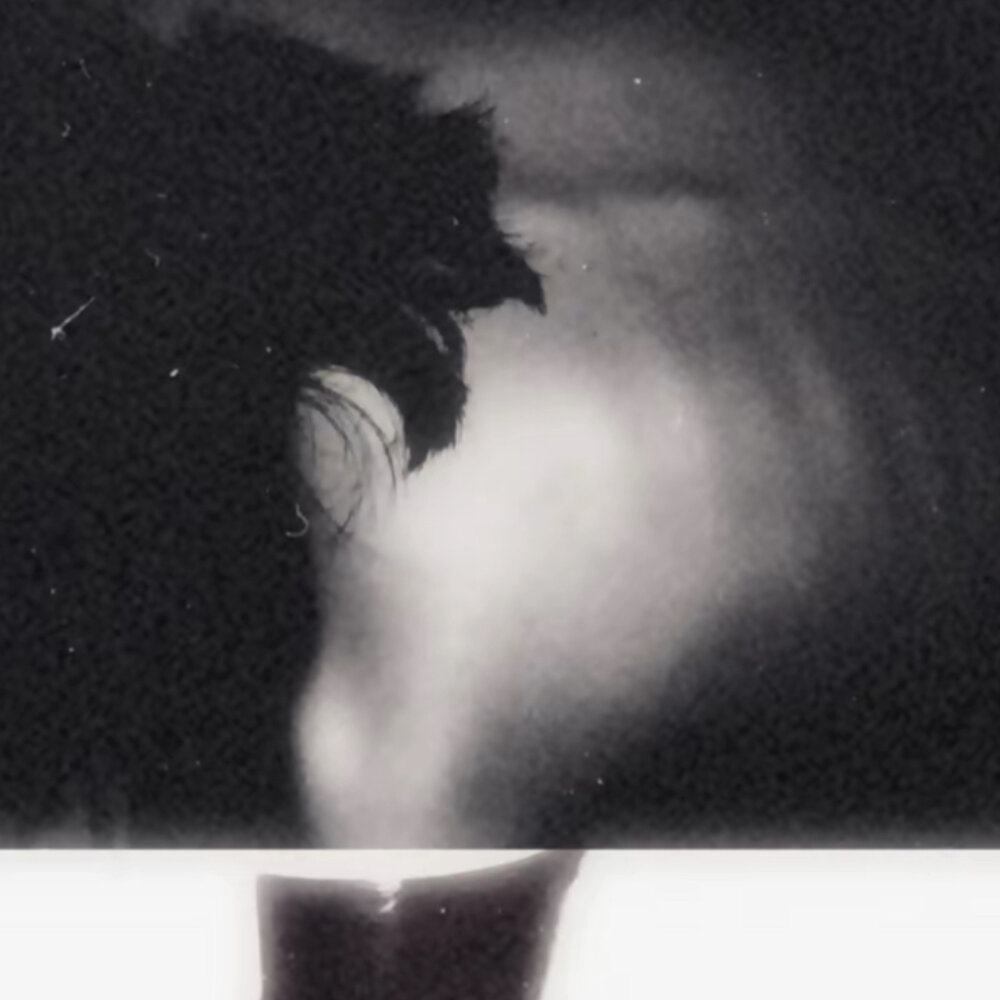 Where the Face Recedes