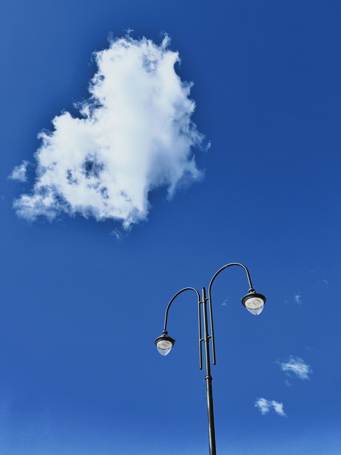 Photo #14241884