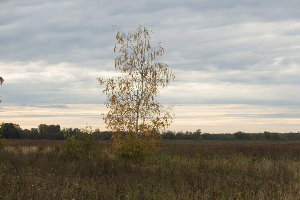 Photo #14242089