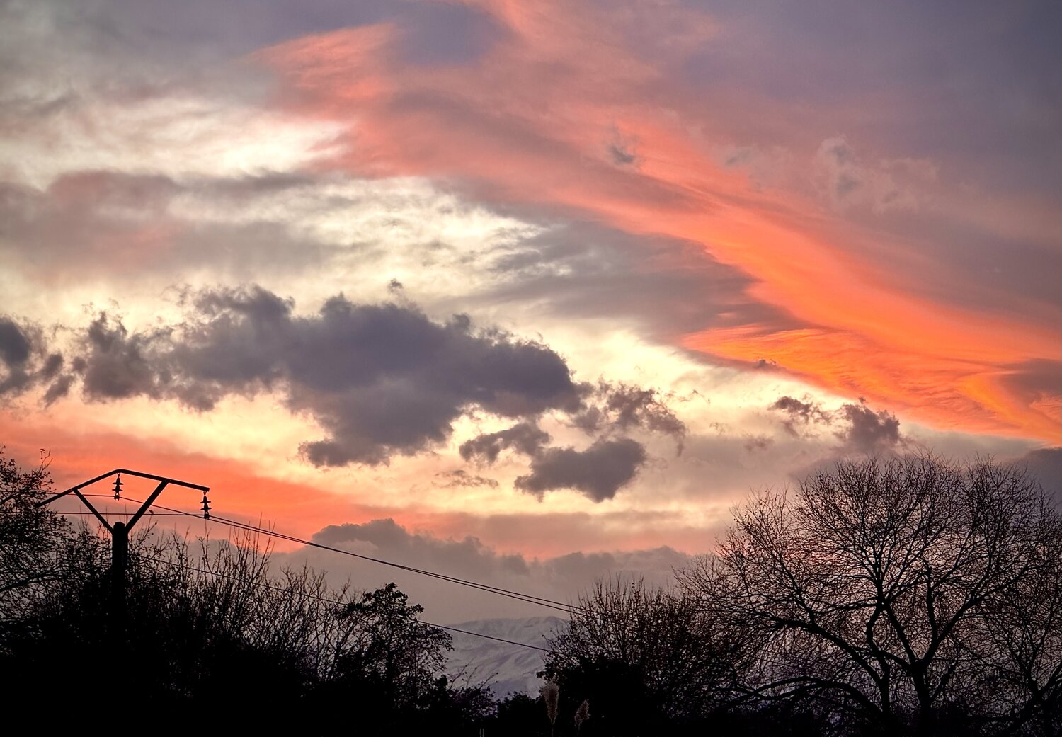 The Last Light