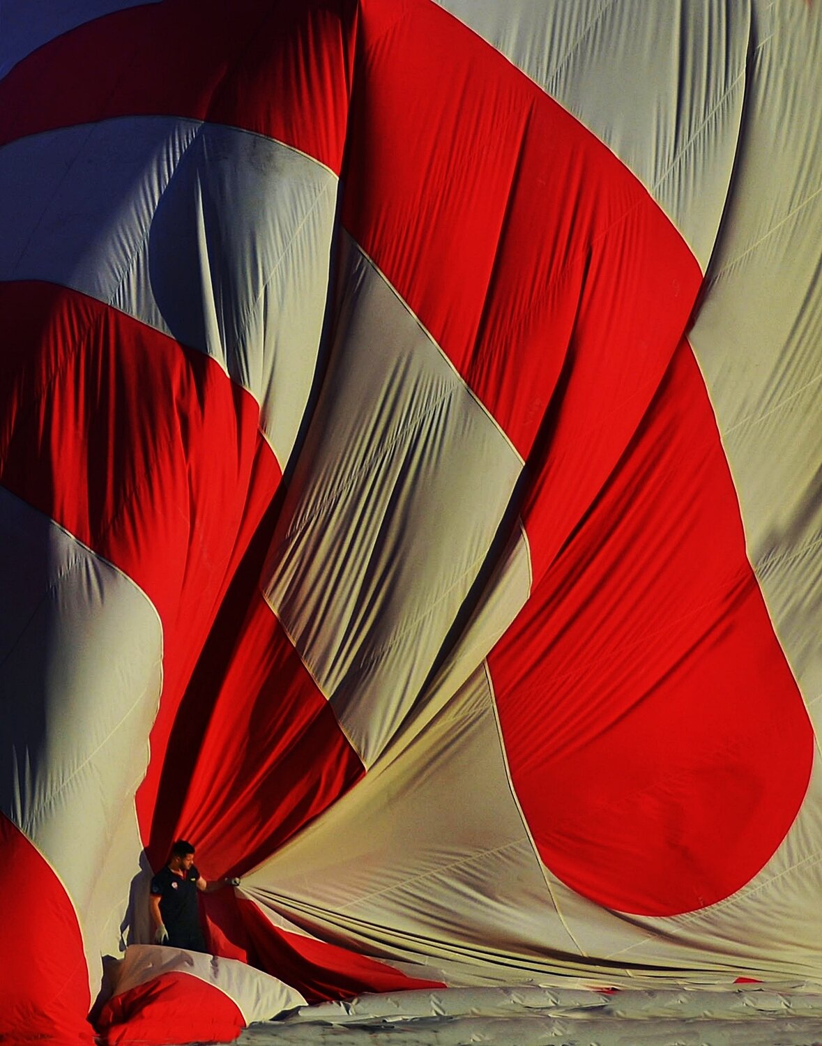 Photo #14242312