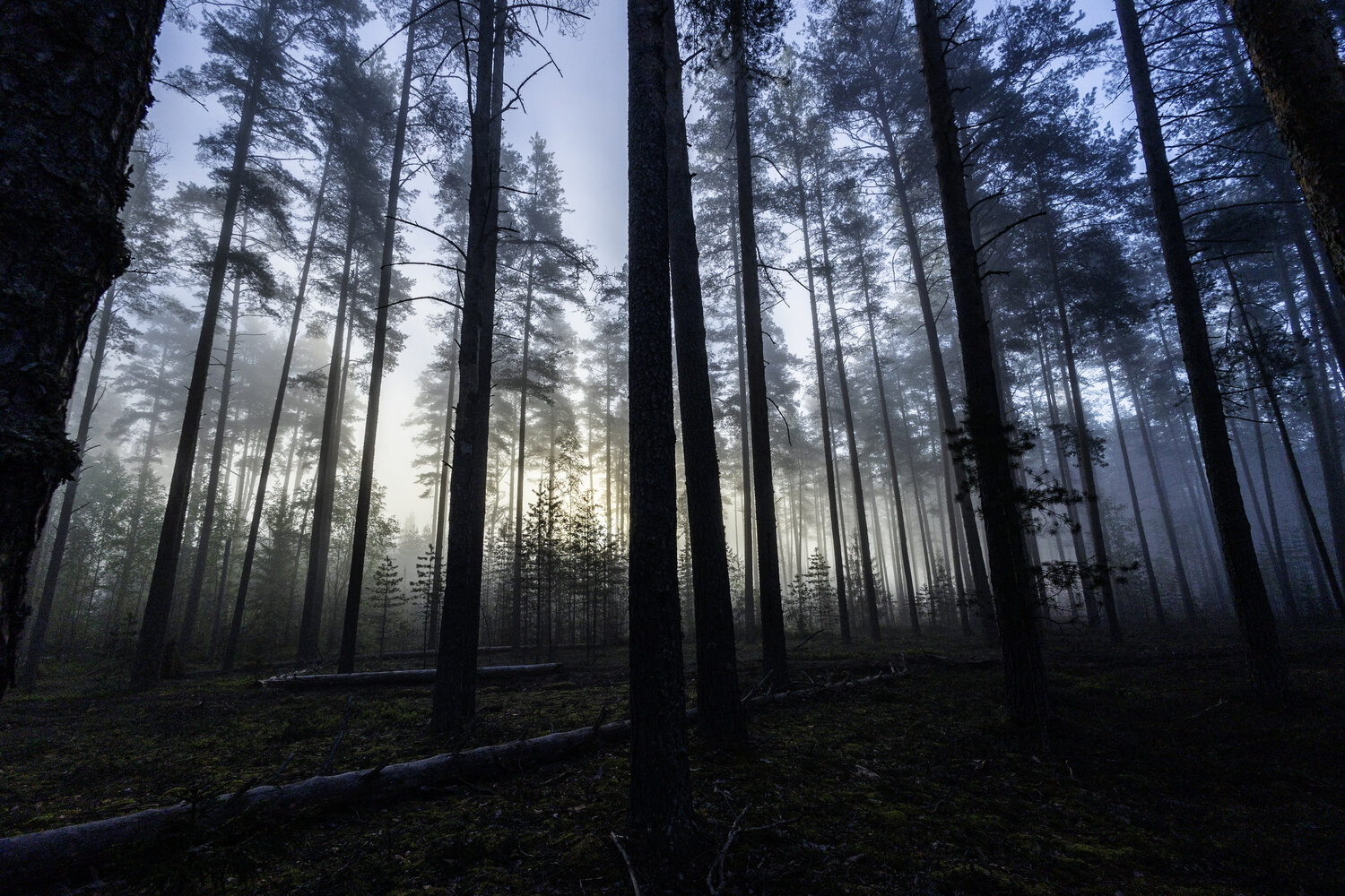 Photo #14242550