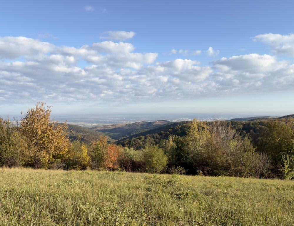 Палитра красок осени