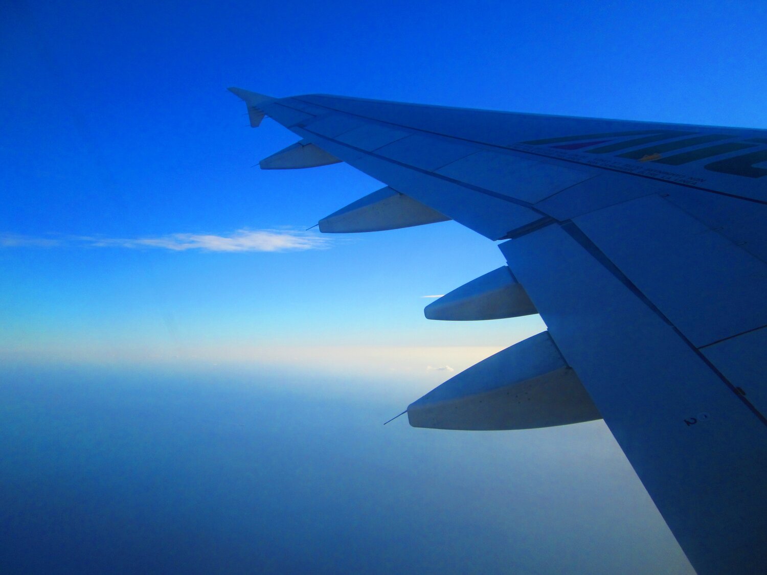 Photo #14242966