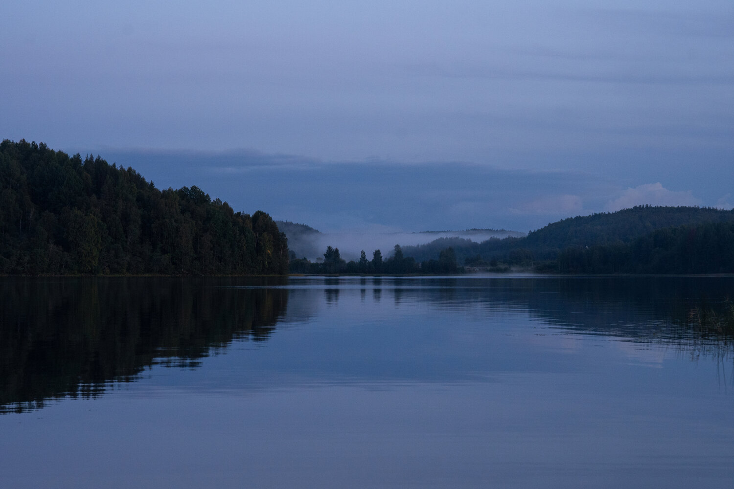 Photo #14242986