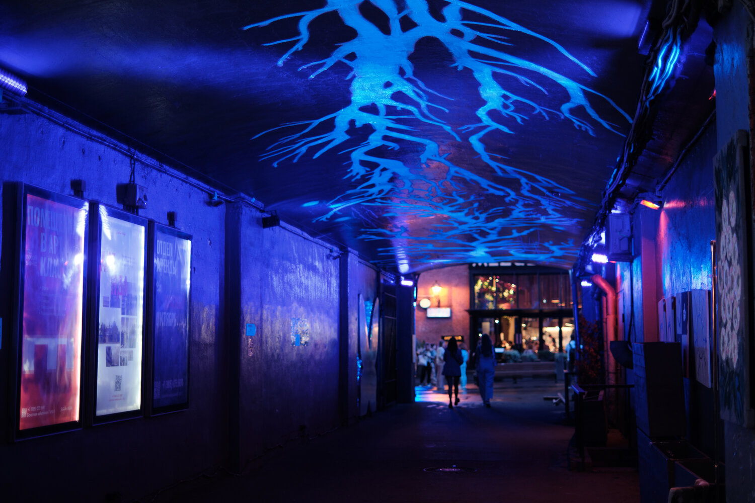 Photo #14243074