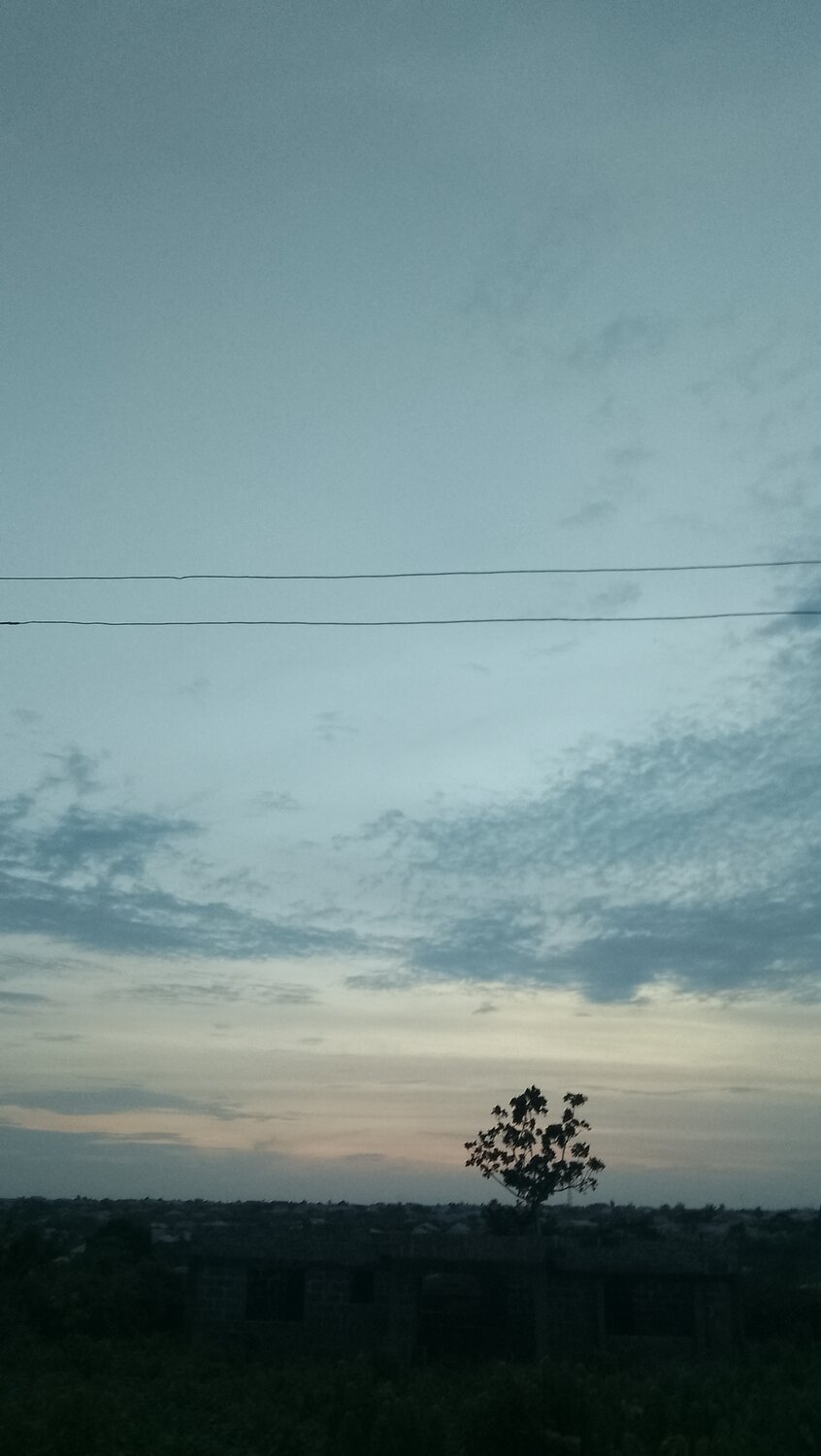 Photo #14243535