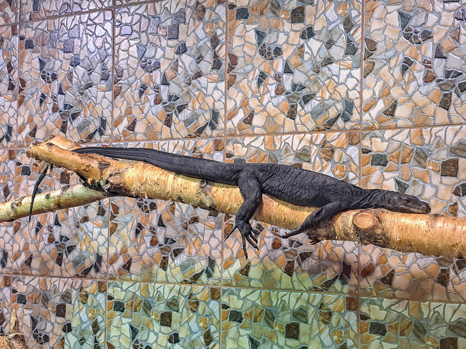Photo #14243775