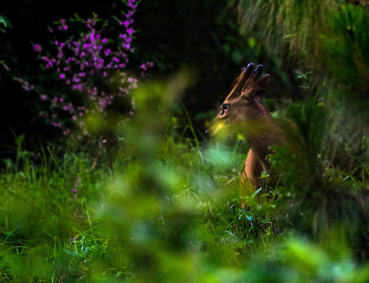 Photo #14243984