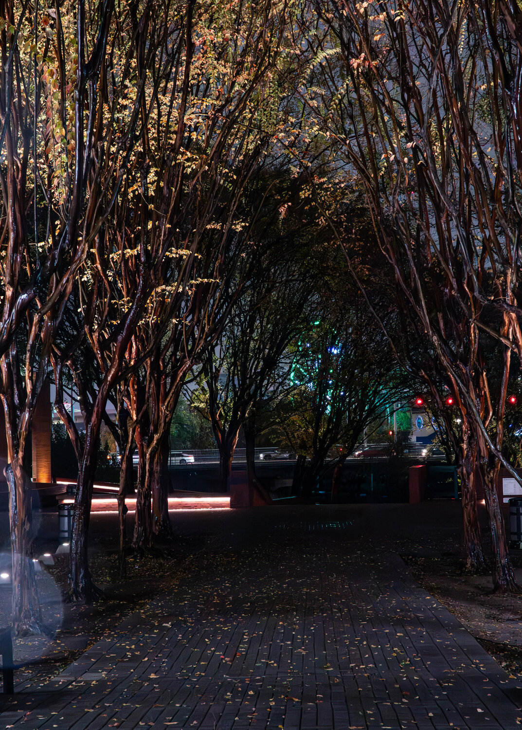 Photo #14244029