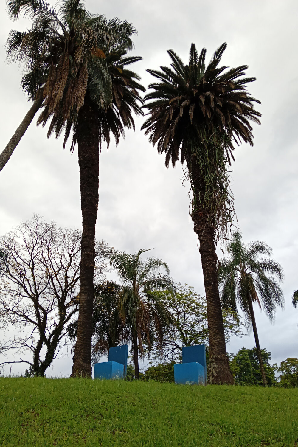 Photo #14244261