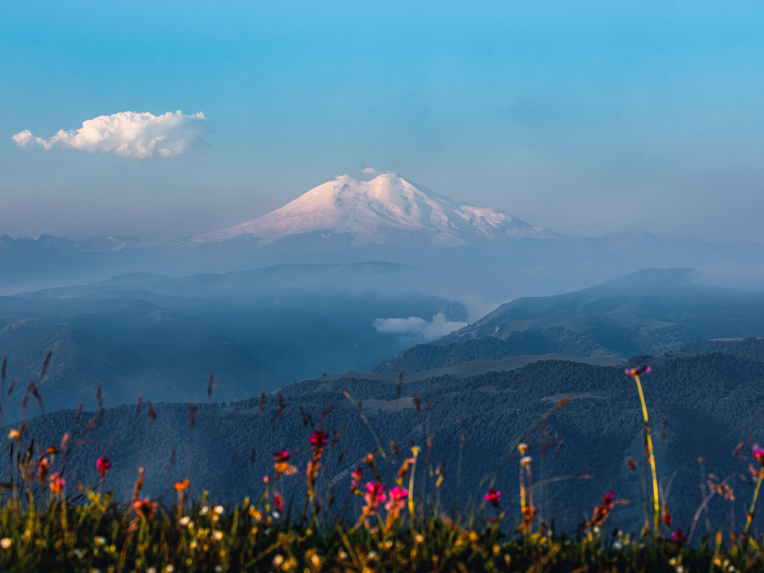 Photo #14244301