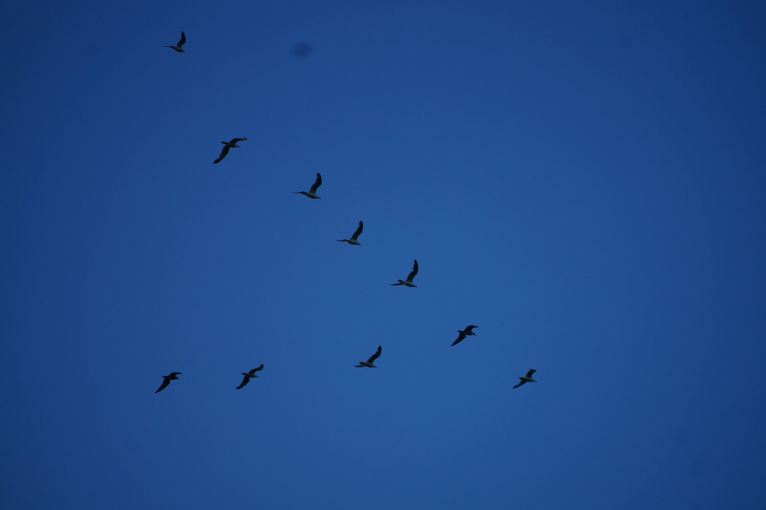 Photo #14244459