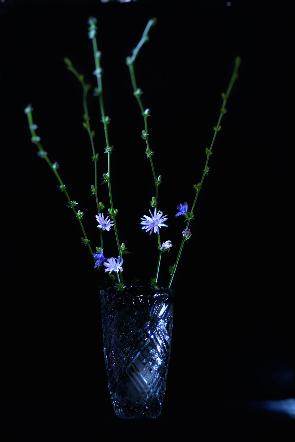 Photo #14245165