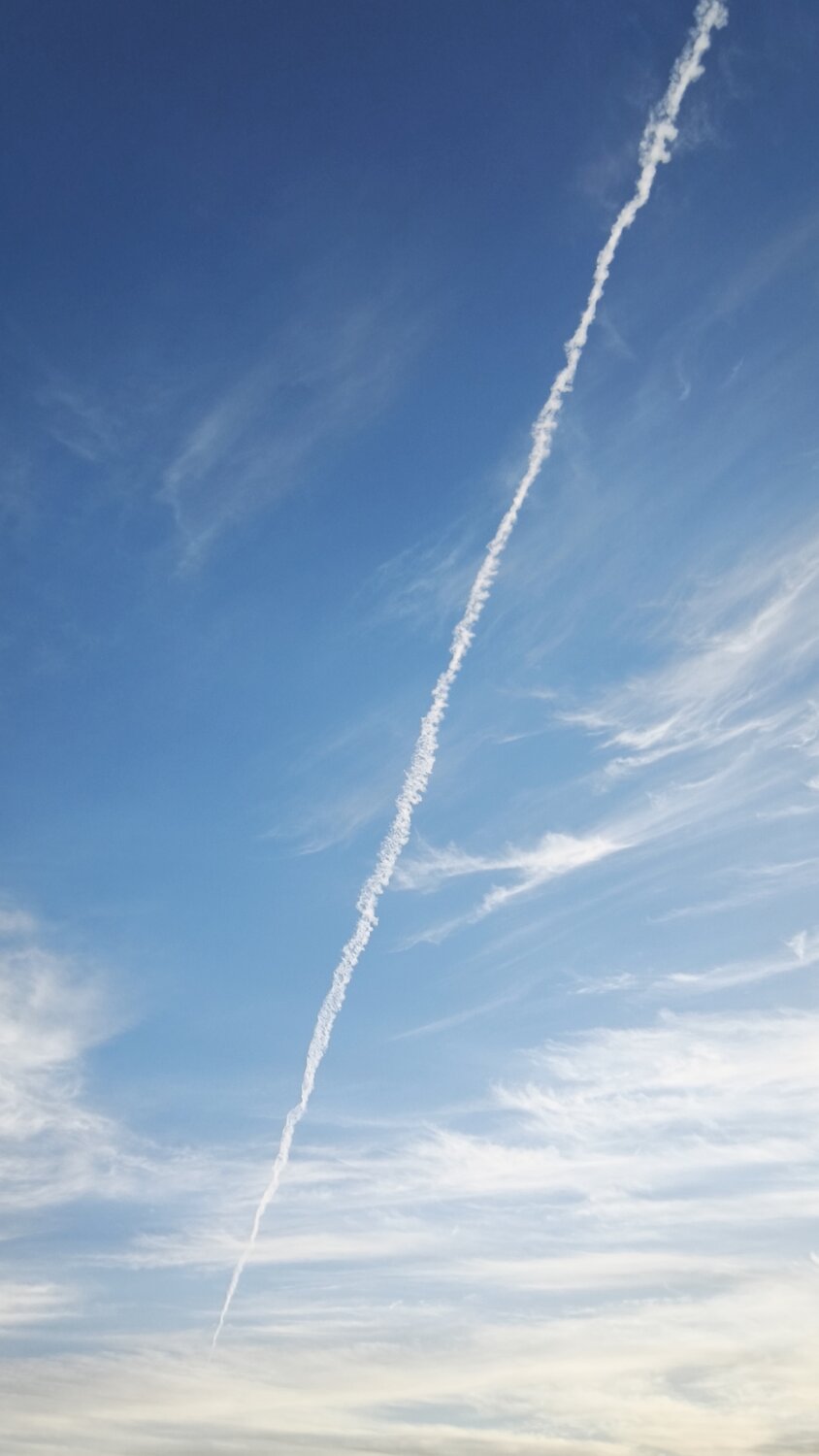 Photo #14245288