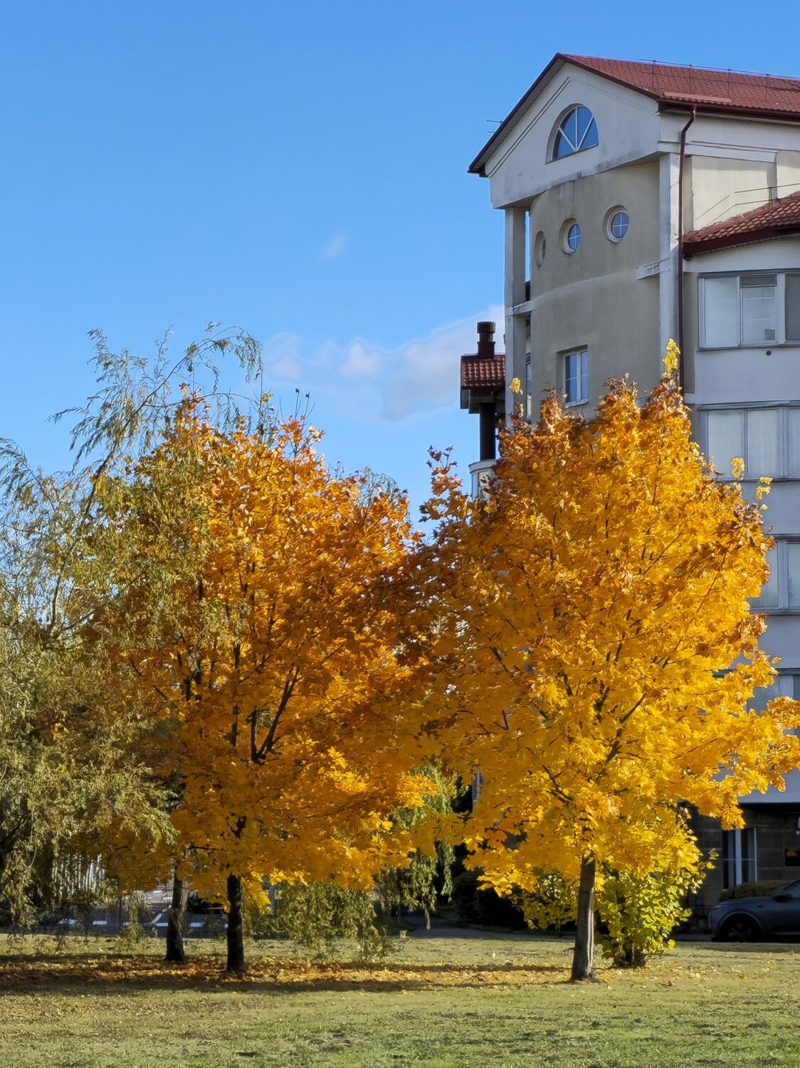 Photo #14245353