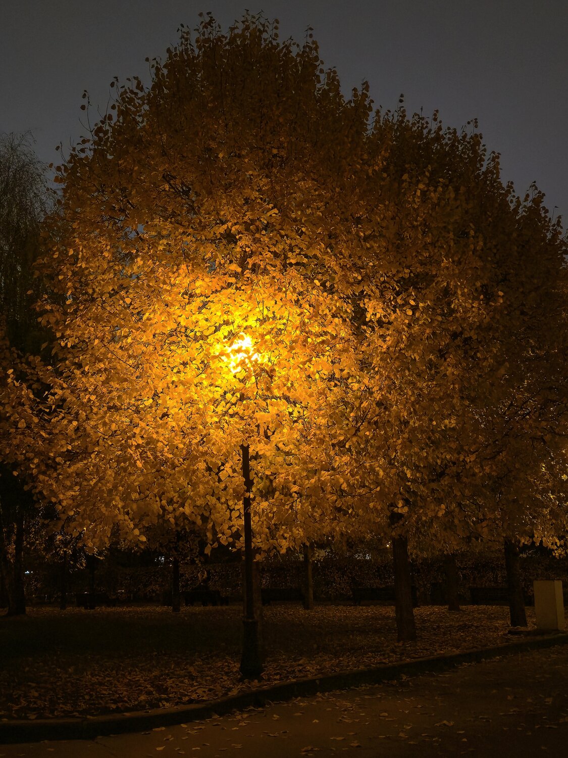 Photo #14245355