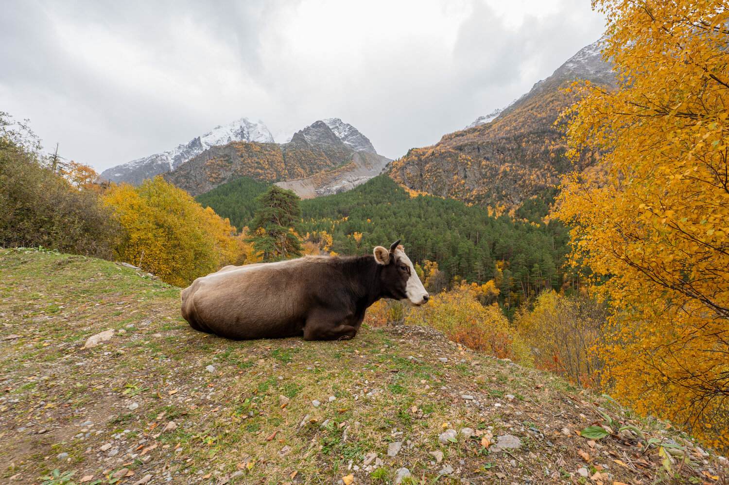 Photo #14245379