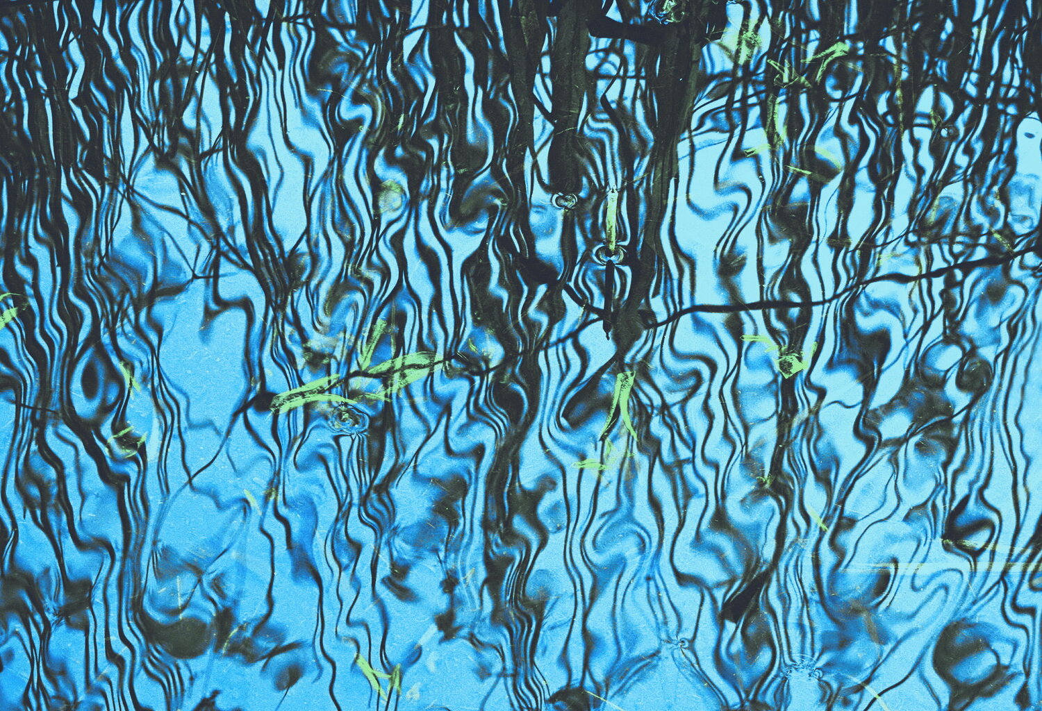 Photo #14245435
