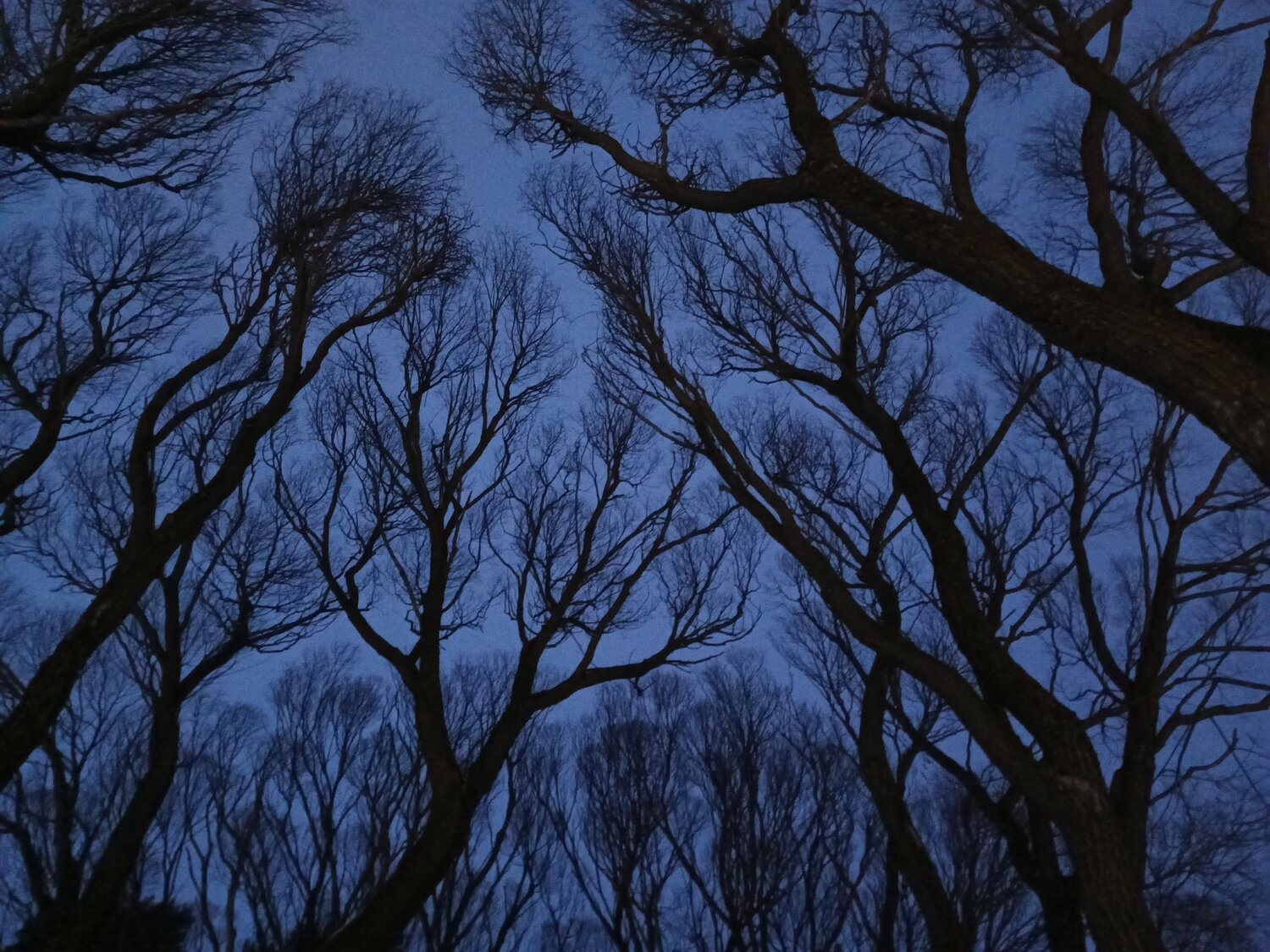 Photo #14245476