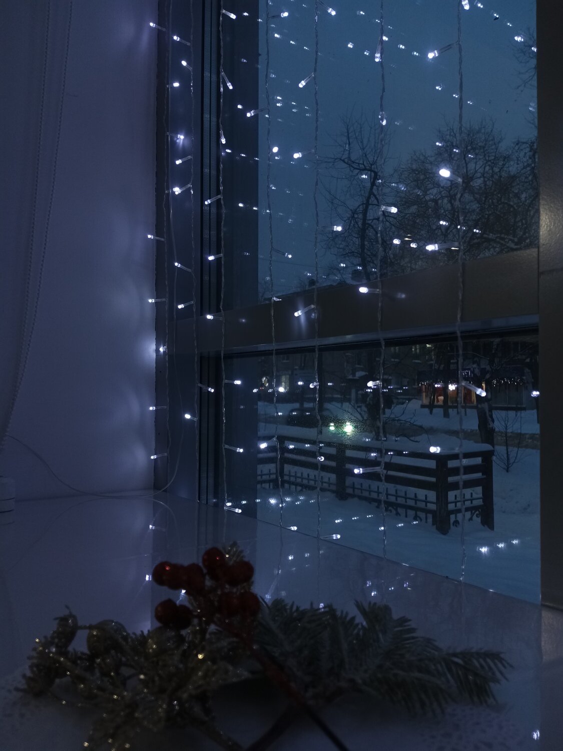 Photo #14245506