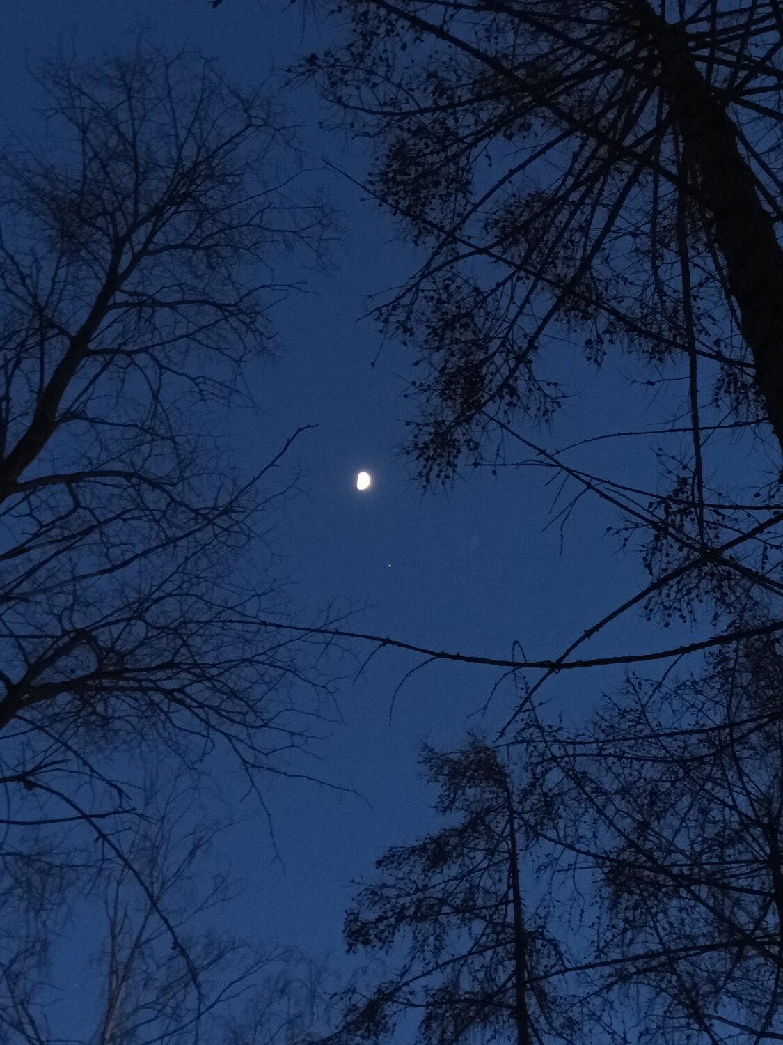 Photo #14245507