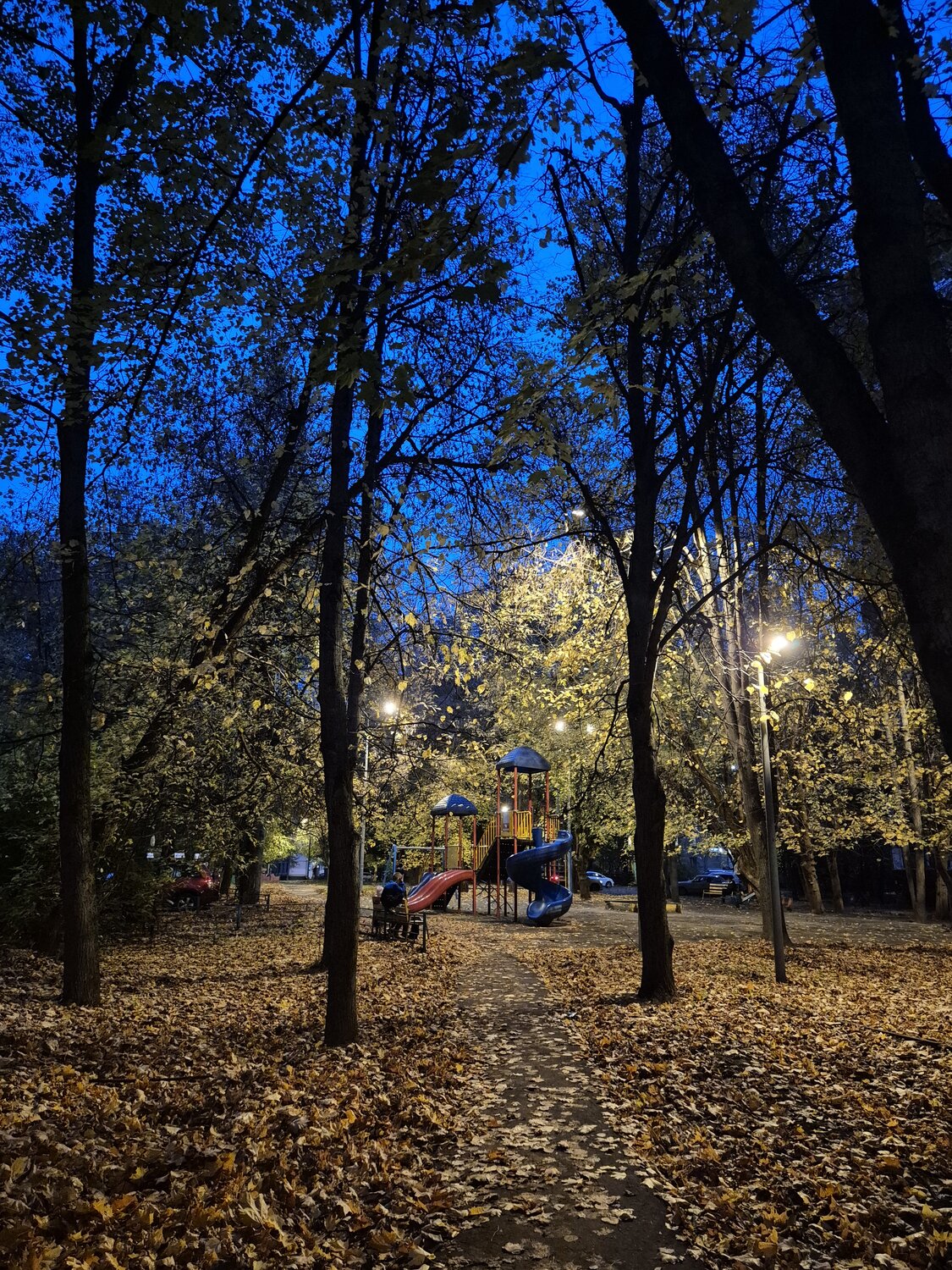 Photo #14245547