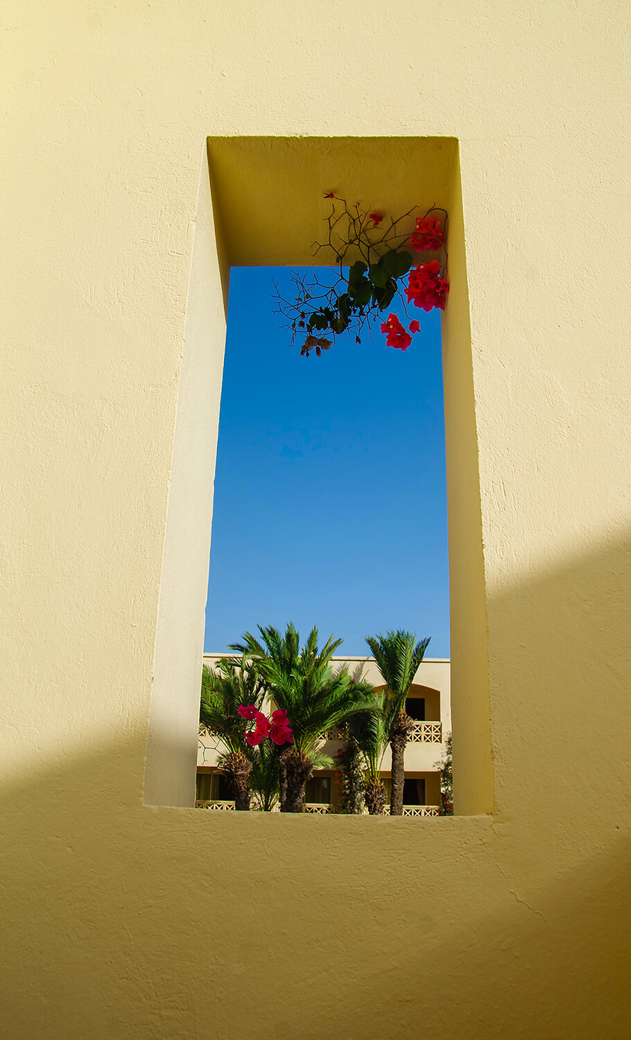 Photo #14246121
