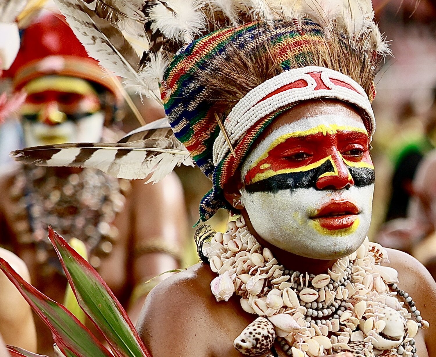 Goroka Show