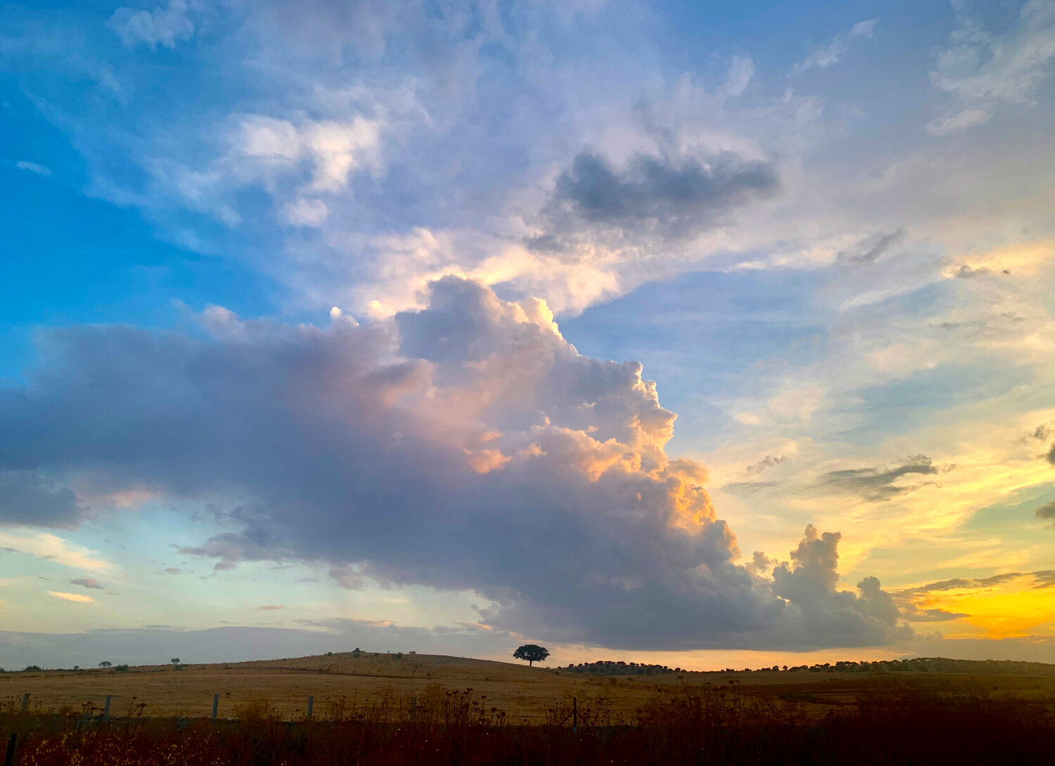 El peso de la nube