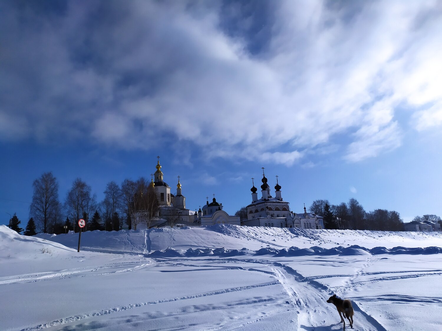 Photo #14246742