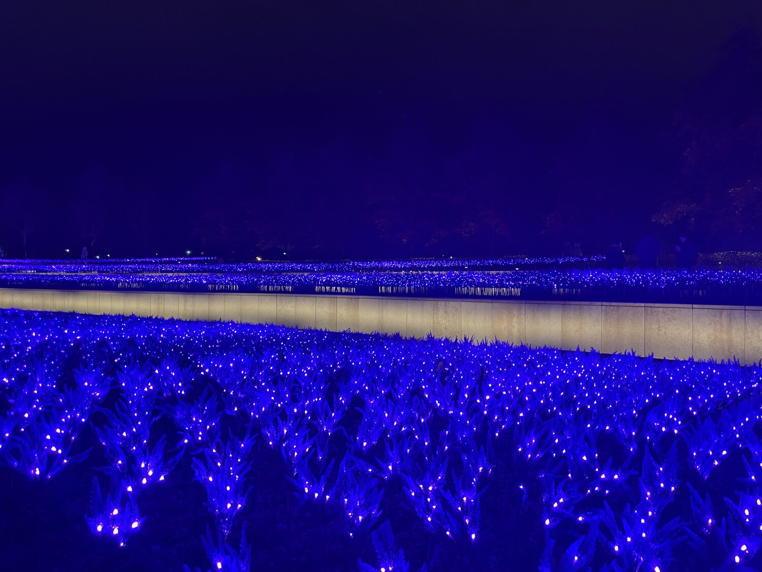 Photo #14247567