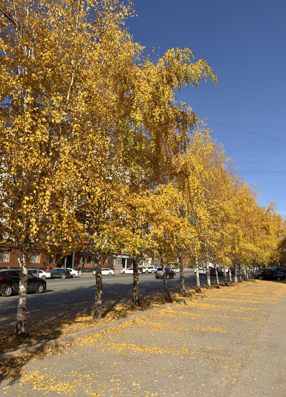 Photo #14247942