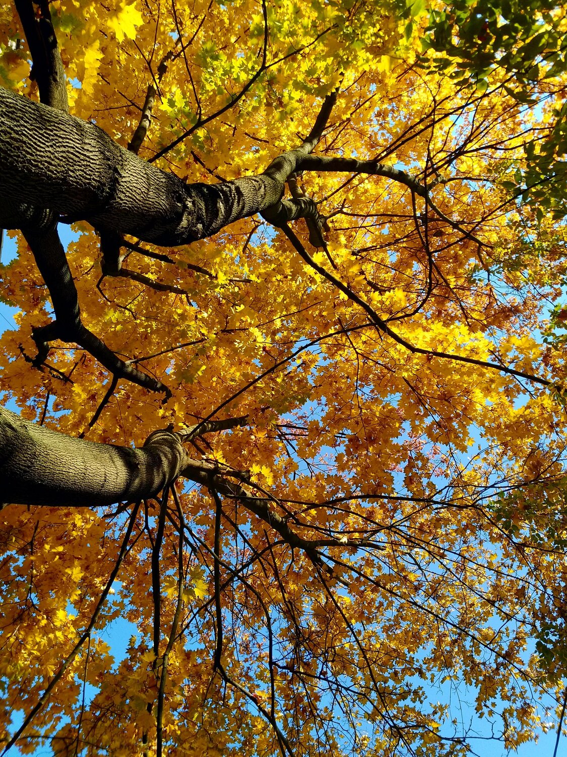 Photo #14248133