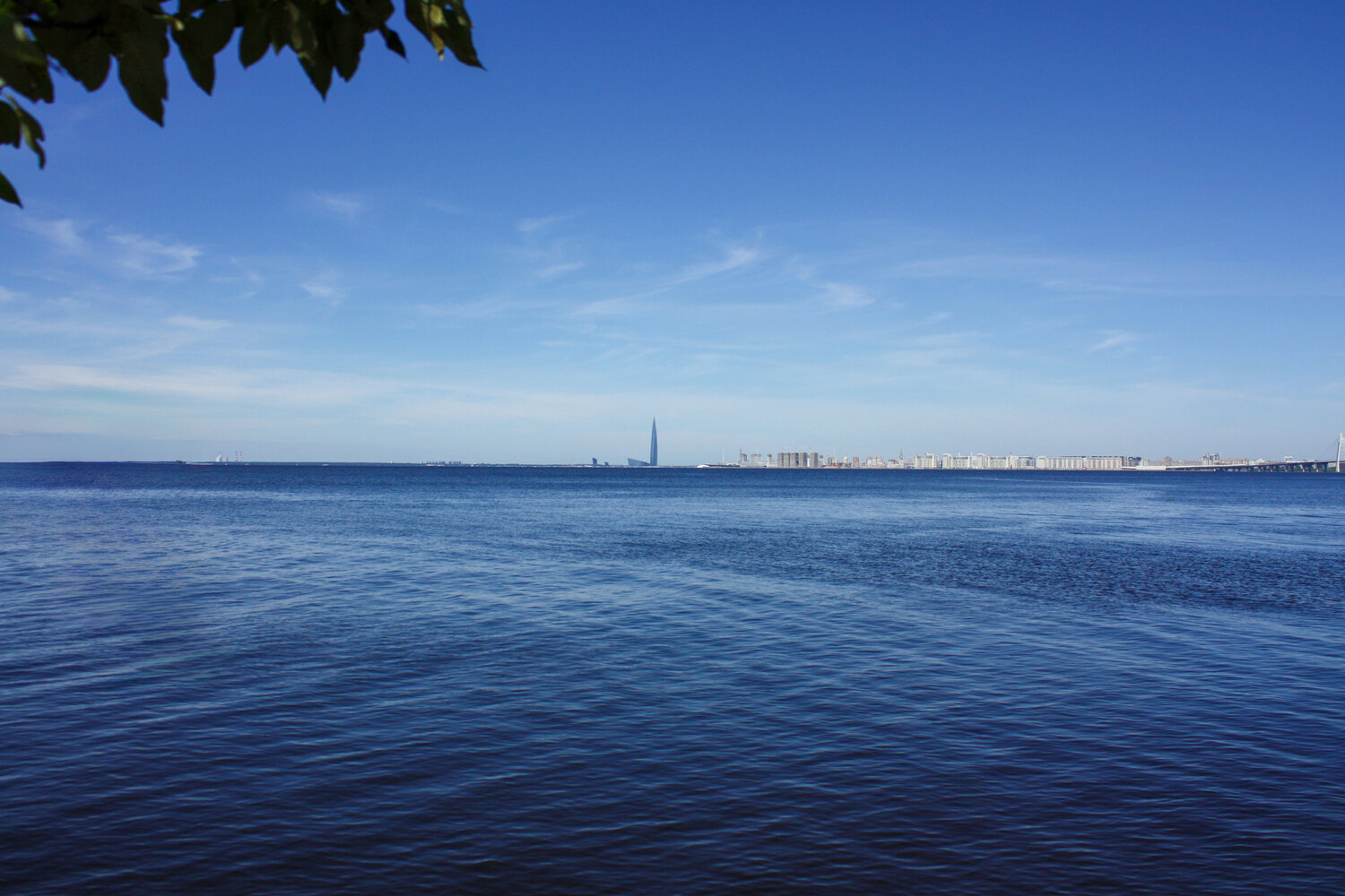 Photo #14248488