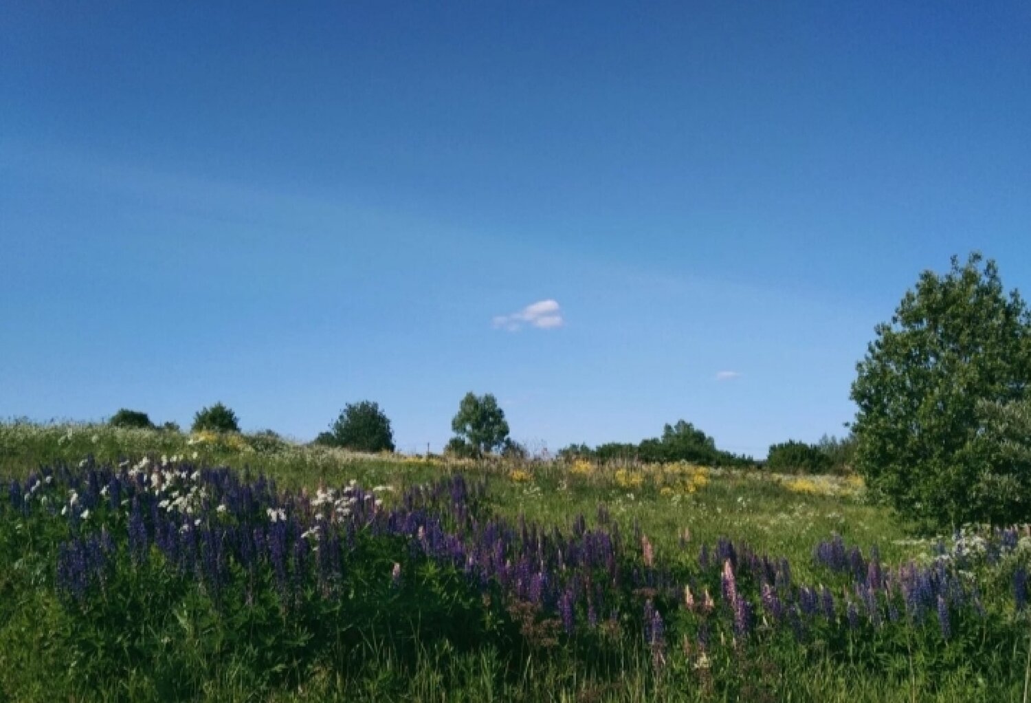 Photo #14249614