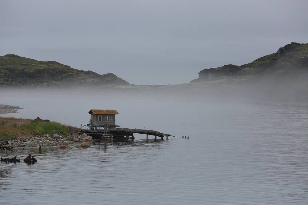 На краю тумана