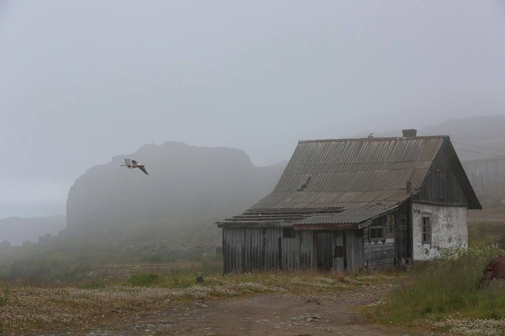 Photograph by Анастасия