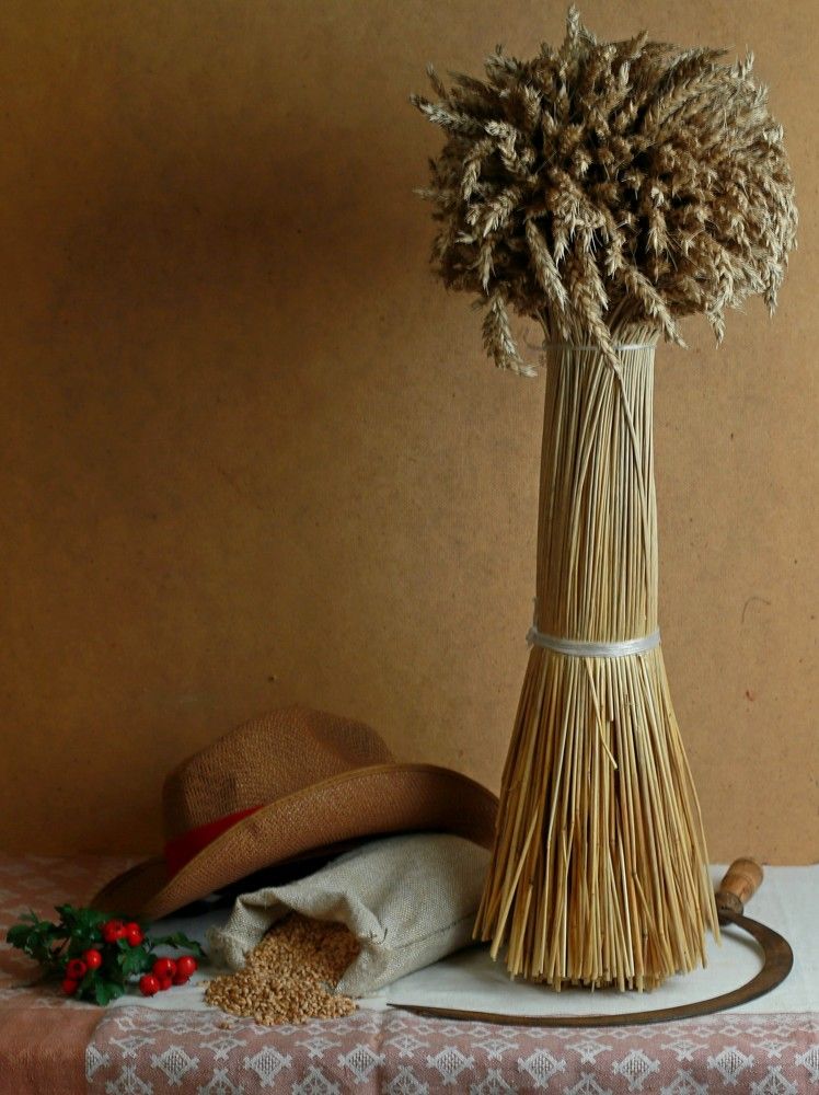 Пшеничный сноп