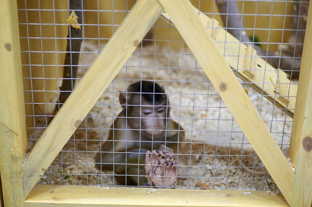 Безысходность