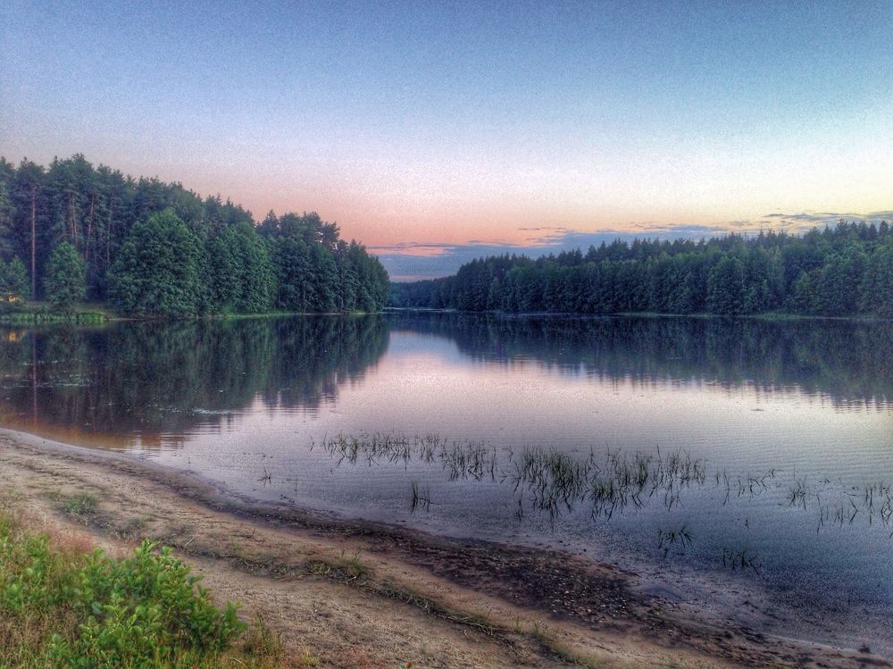 Подмосковные краски лета