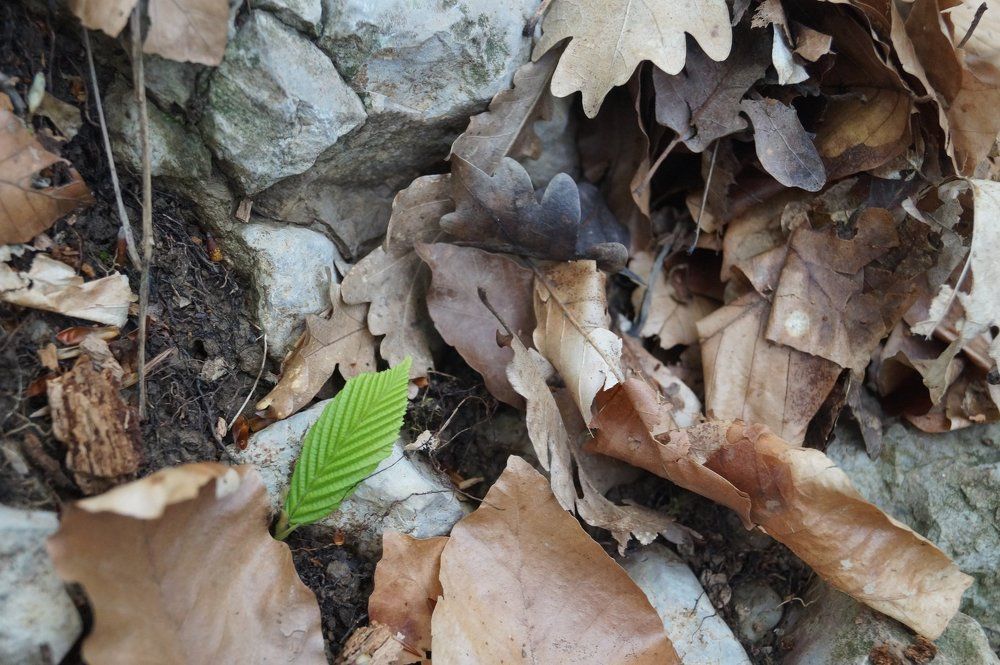 Круговорот...начало и конец