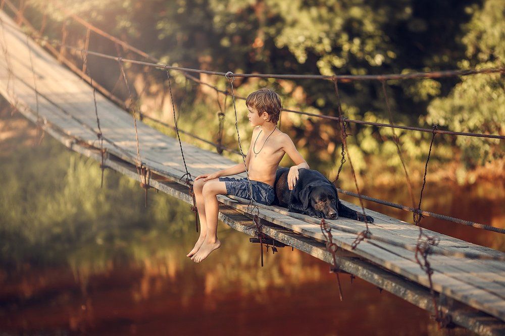 Собака и её мальчик