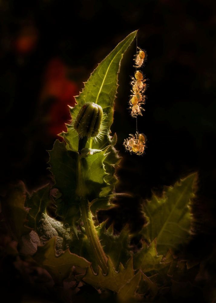 Ночная жизнь.