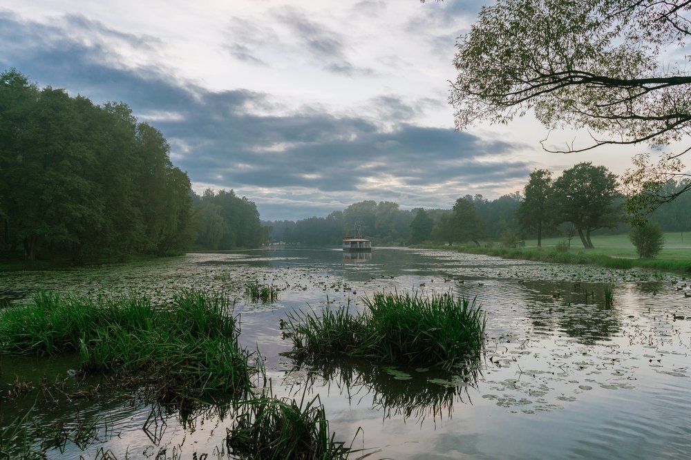 Вечер в Кузьминках